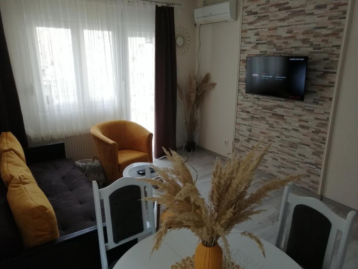 Apartman Zi-Zo Apartment Vrsac Ngoại thất bức ảnh