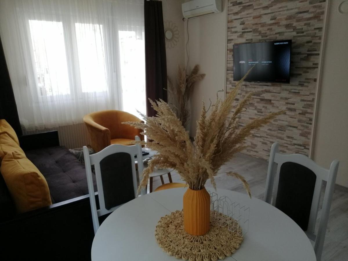 Apartman Zi-Zo Apartment Vrsac Ngoại thất bức ảnh