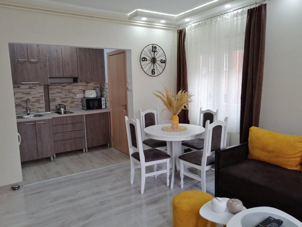 Apartman Zi-Zo Apartment Vrsac Ngoại thất bức ảnh